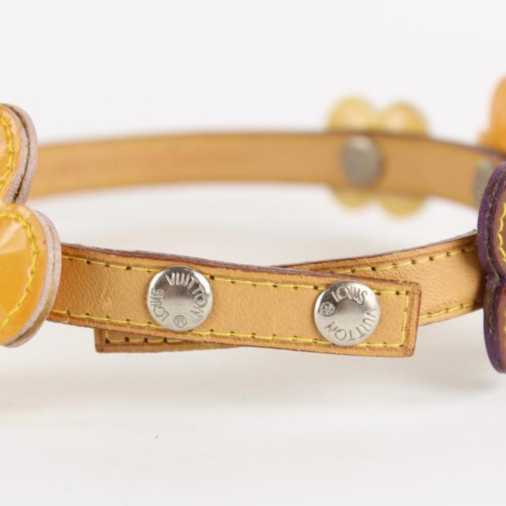 Louis Vuitton Multicolor Vernis Fleur x Vachetta - Picture 6 of 12
